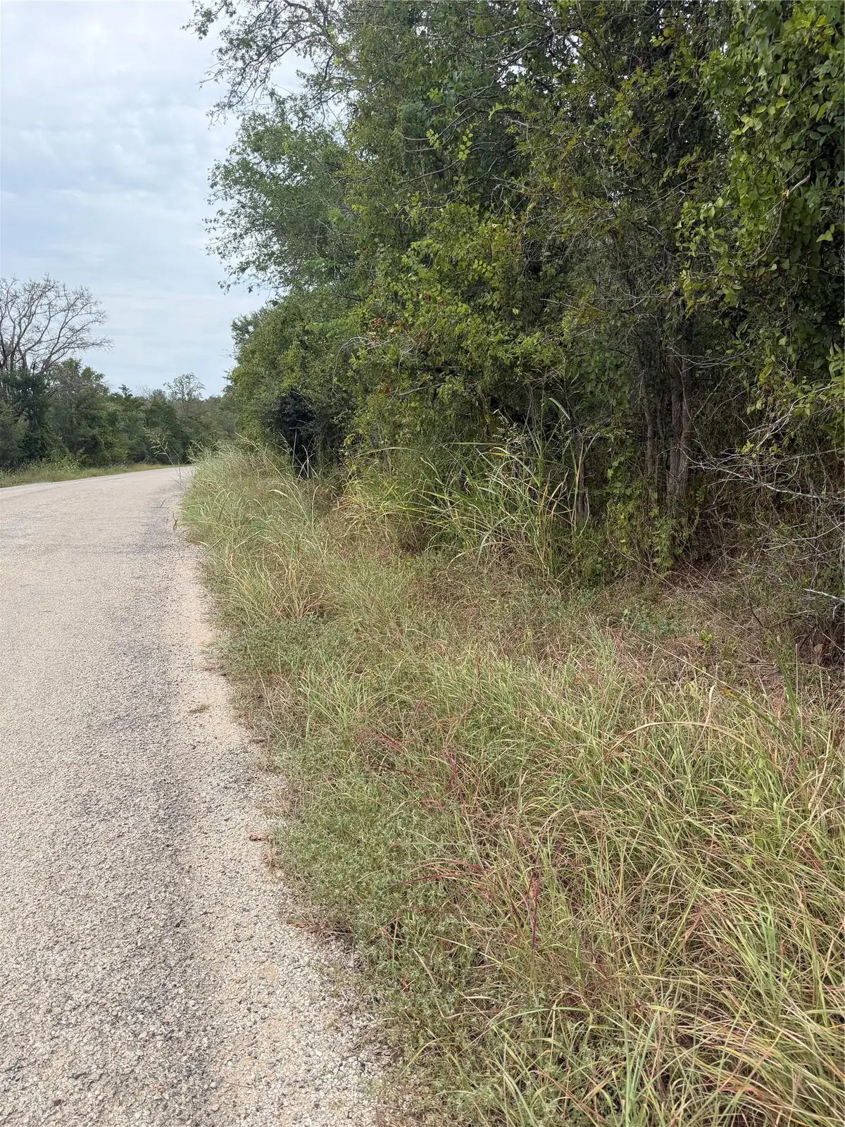 Lots 451, 452, 453 Heleakala Dr, Bastrop, TX 78602 - #1