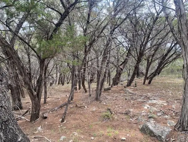 20902 Stone Cliff Dr, Lago Vista, TX 78645 - Image #3