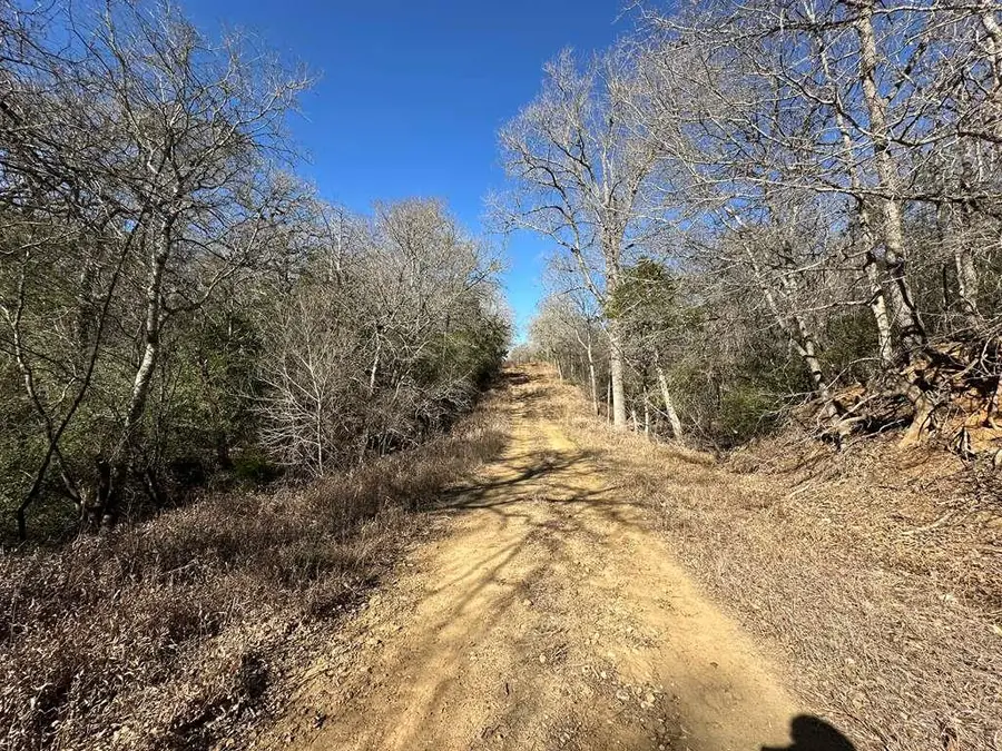 TBD Bali Hai Ln, Bastrop, TX 78602 - #3