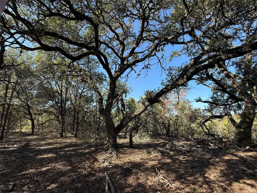 105 S Park Rd, Wimberley, TX 78676 - Image #3