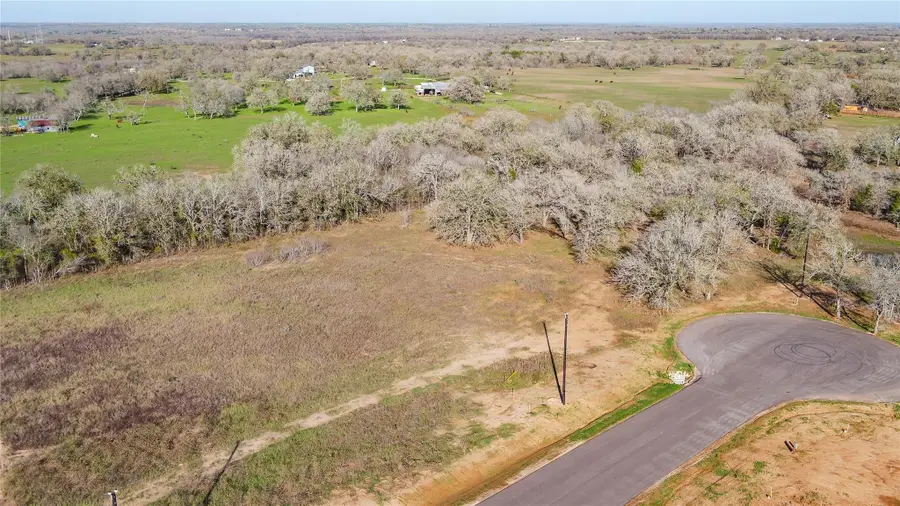 175 Azalea Ct, Dale, TX 78616 - Image #3