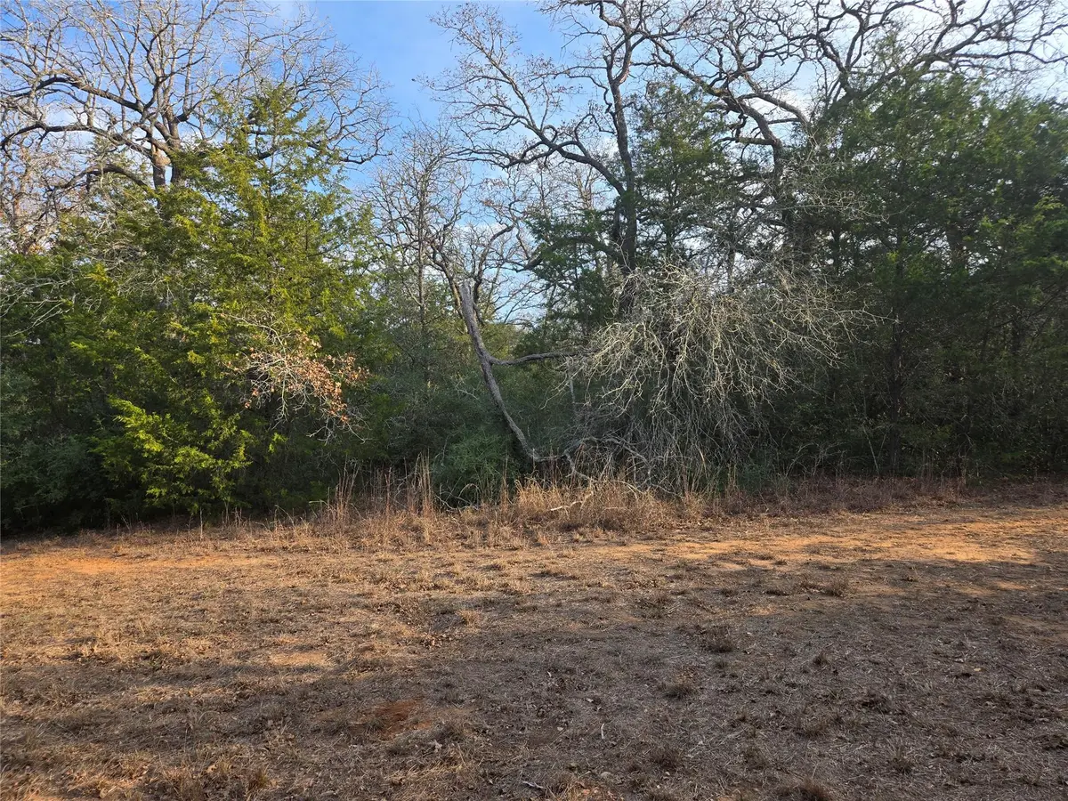 0 Lakeshore Dr, Paige, TX 78659 - Image #1