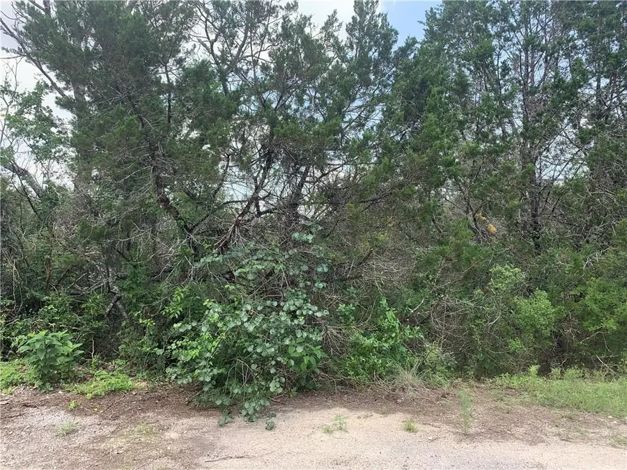 20608 Tejas Trl, Leander, TX 78645 - Image #3