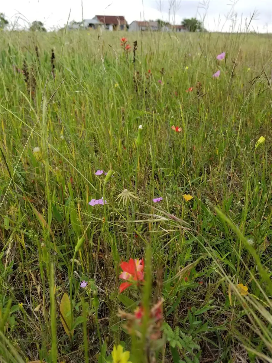 7194 Goehring Rd Rd, Ledbetter, TX 78946 - #2