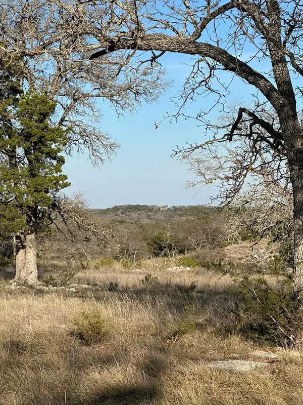 Lot 59 Cliff View, Harper, TX 78631