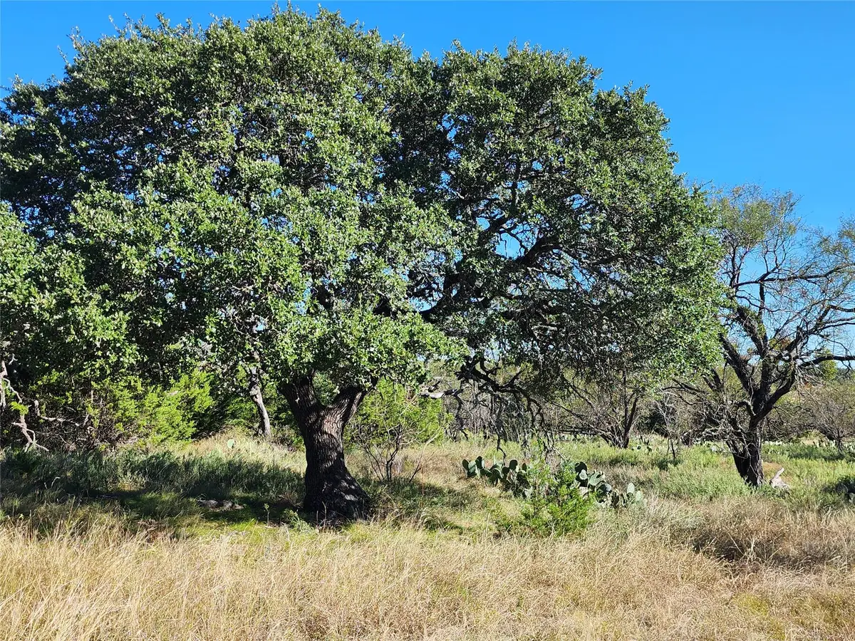 Lot 73 Shin Oak Dr, Lampasas, TX 76550 - Image #1