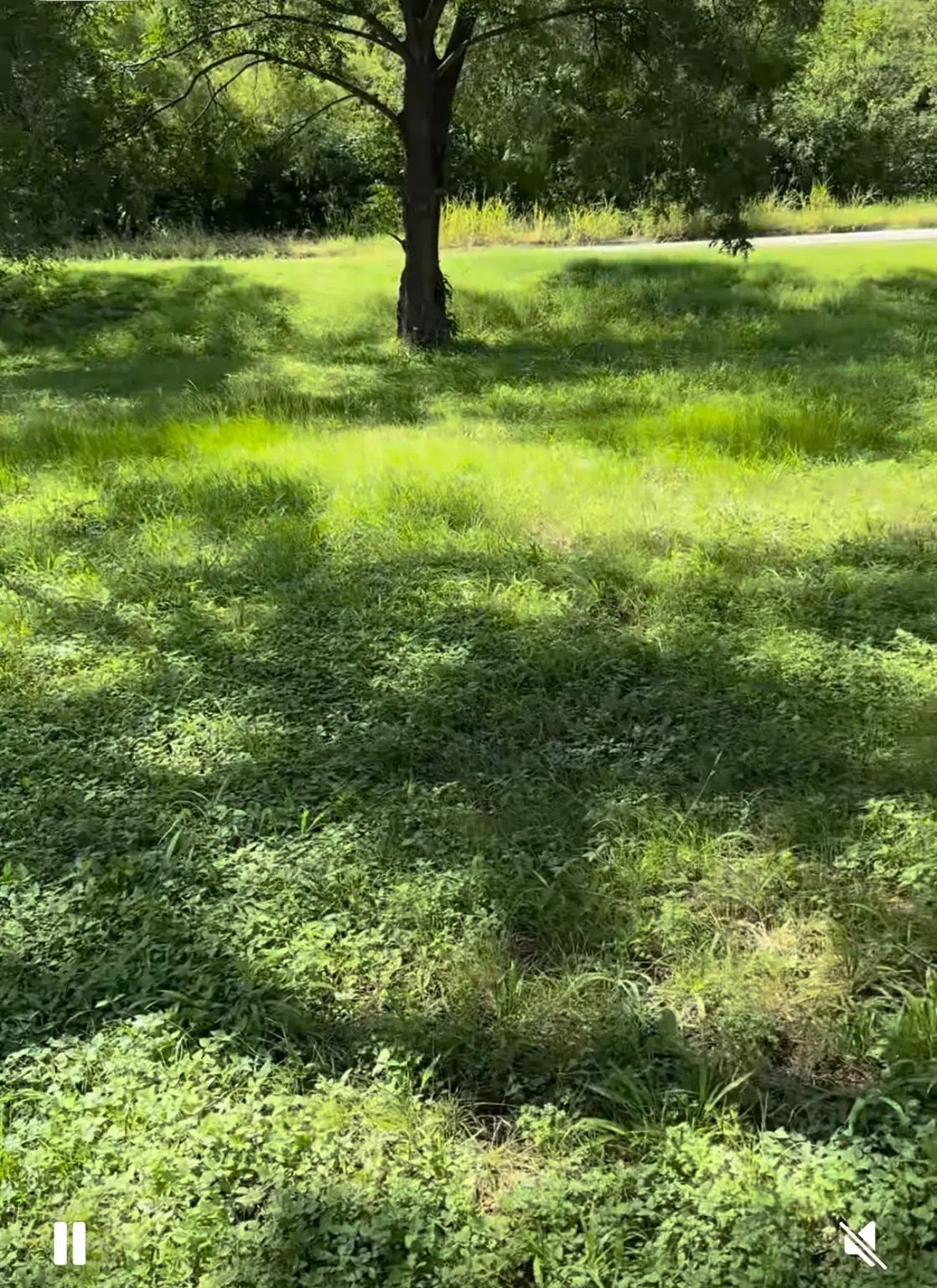 10002 Highway Fm 969 Rd, Austin, TX 78724 - Image #1