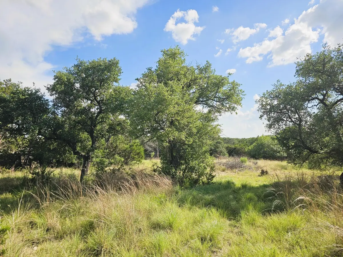 100 Reavis Dr, Kempner, TX 76539 - #1