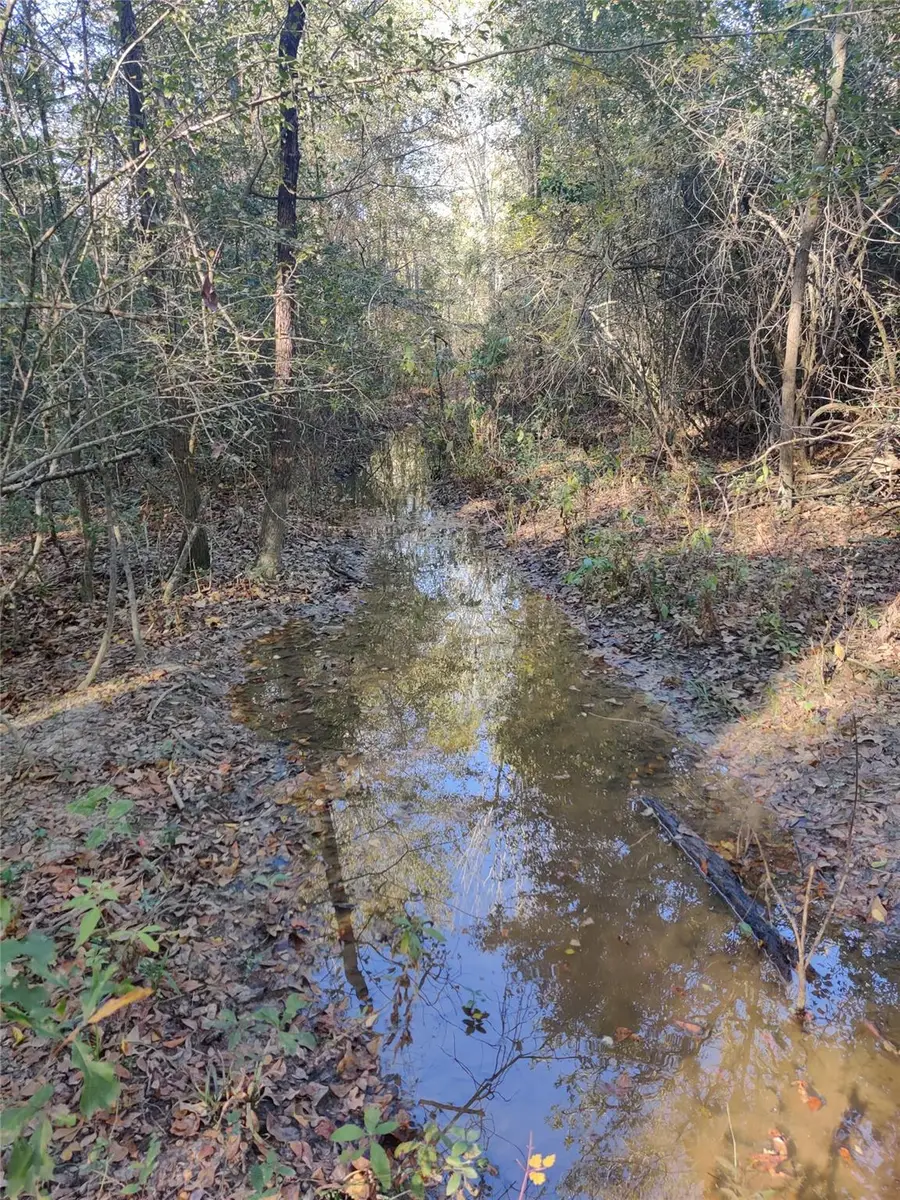 555 Private Road 3428, Gause Milano, TX 76558 - Image #3