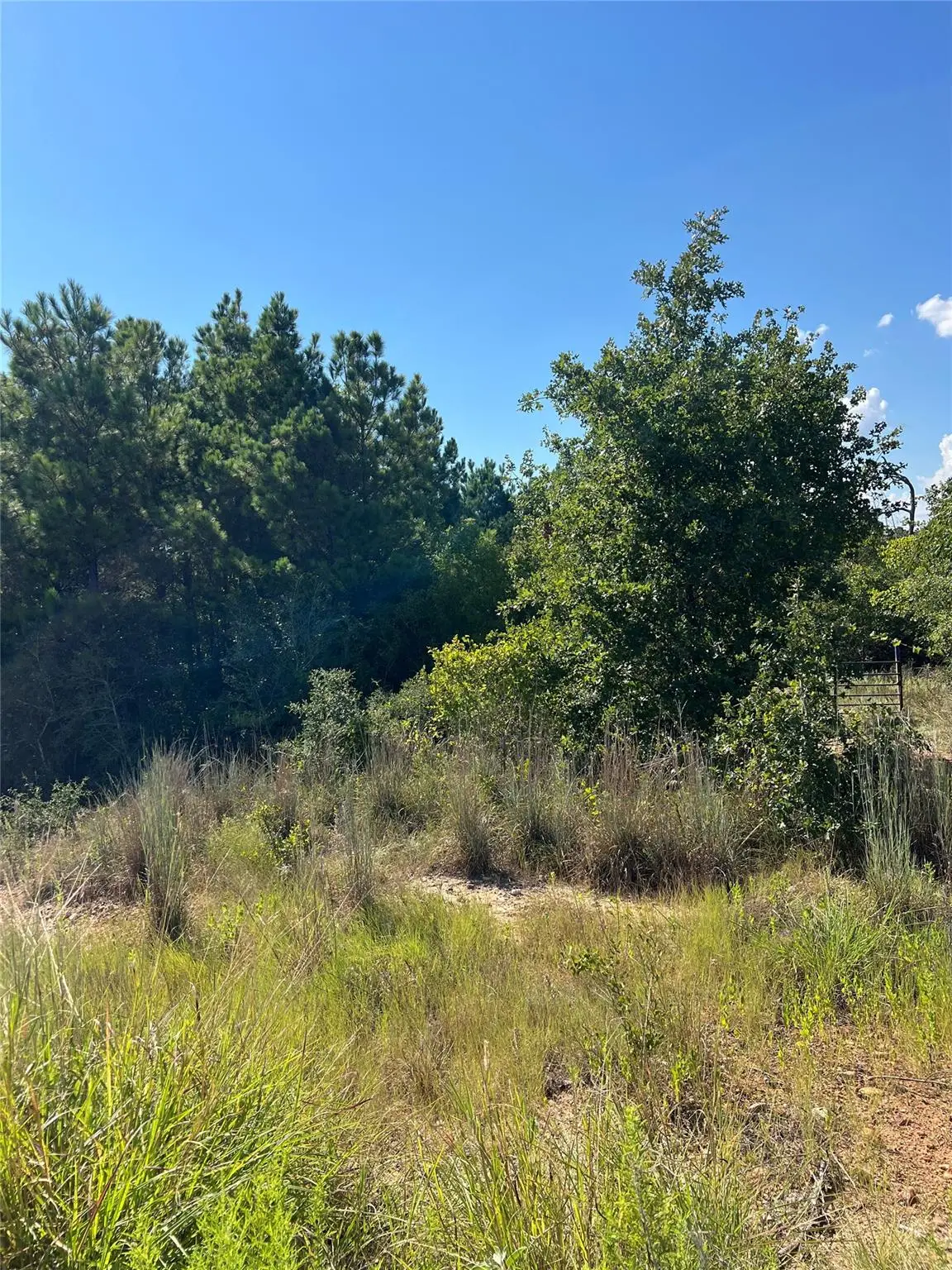 TBD Poi Ct, Bastrop, TX 78602 - #1