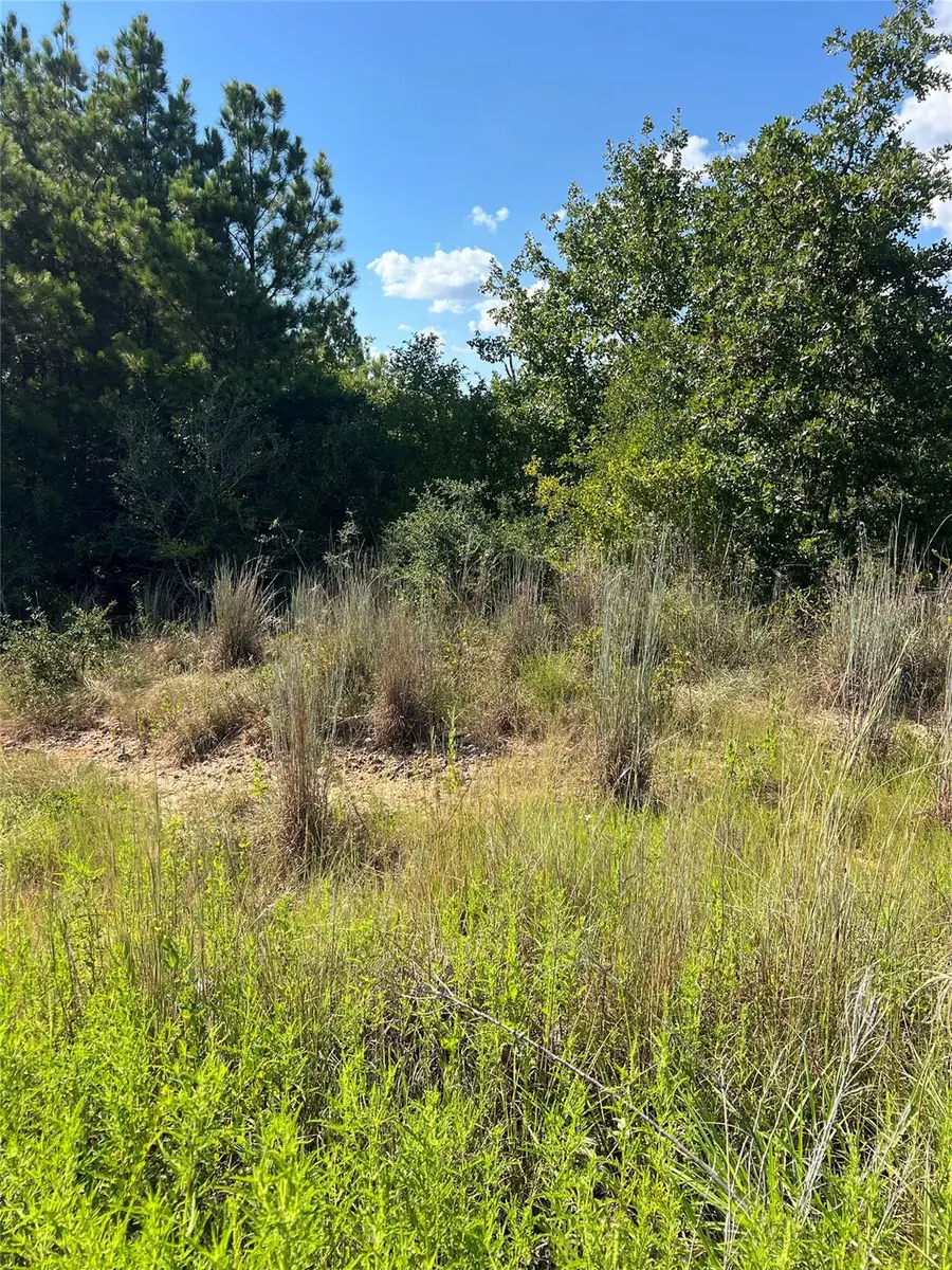 TBD Poi Ct, Bastrop, TX 78602 - #3