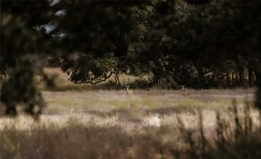 Lot 1 Legacy Hills Dr, Johnson City, TX 78636 - Image #3