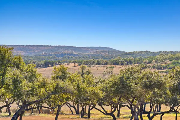 3300 Rm -165 - Lot 23, Dripping Springs, TX 78606