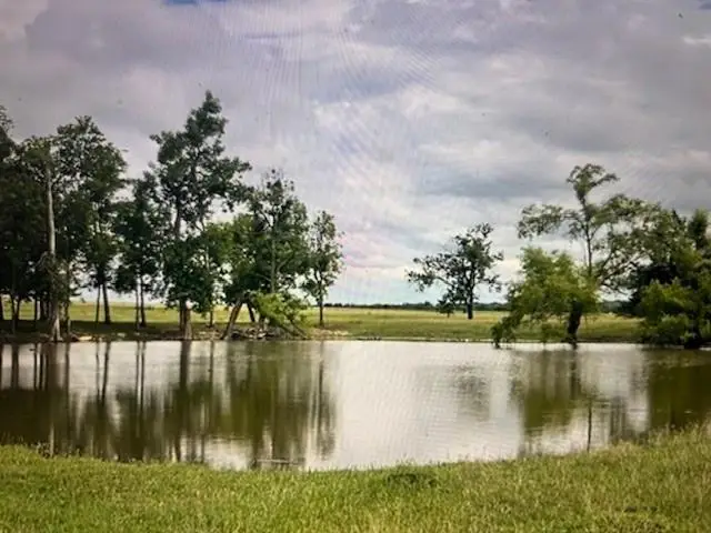 1351 Cr 320, Granger, TX 76530 - #1