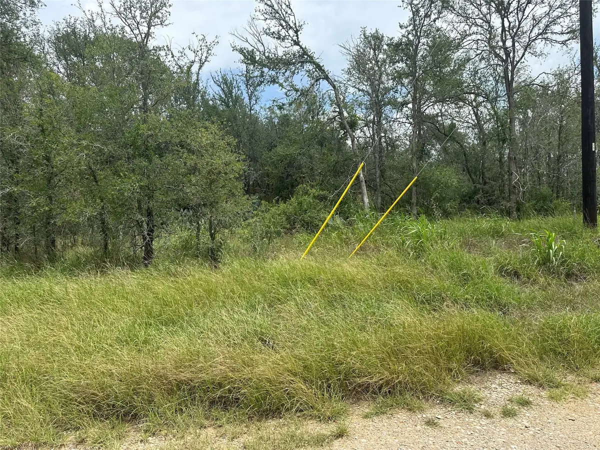 189 Puu Waa Waa Ln, Bastrop, TX 78602 - Image #1