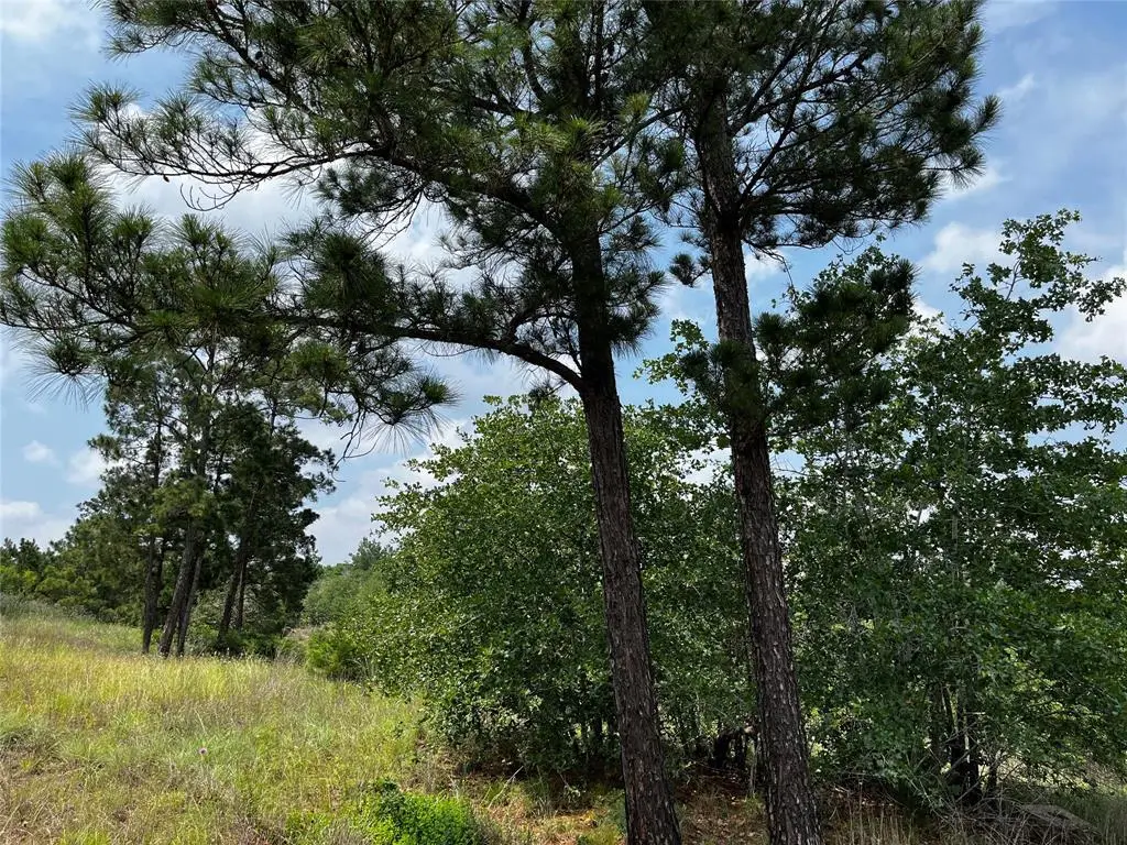 LOT 46 Kamakoa Ln, Bastrop, TX 78602 - Image #1