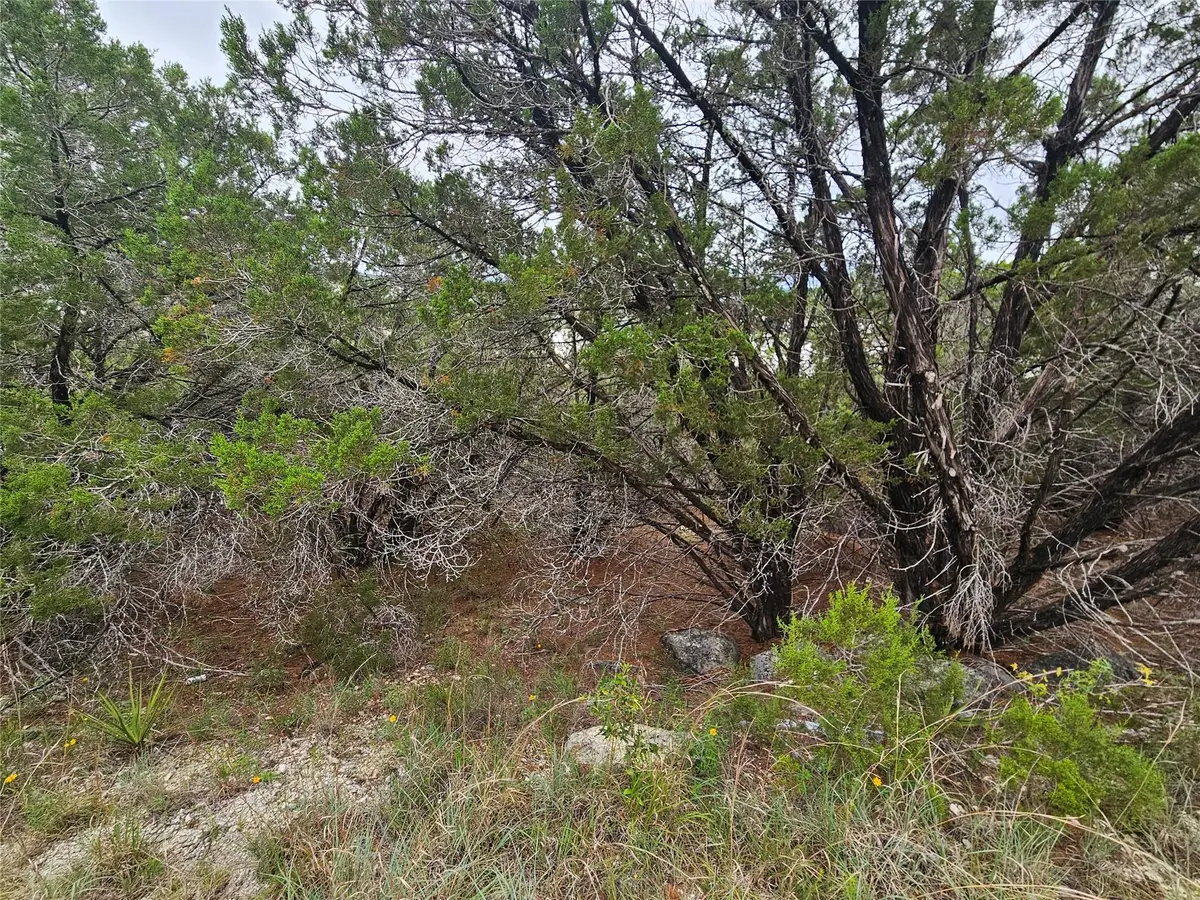 8216 Arroyo Ave, Lago Vista, TX 78645 - #1