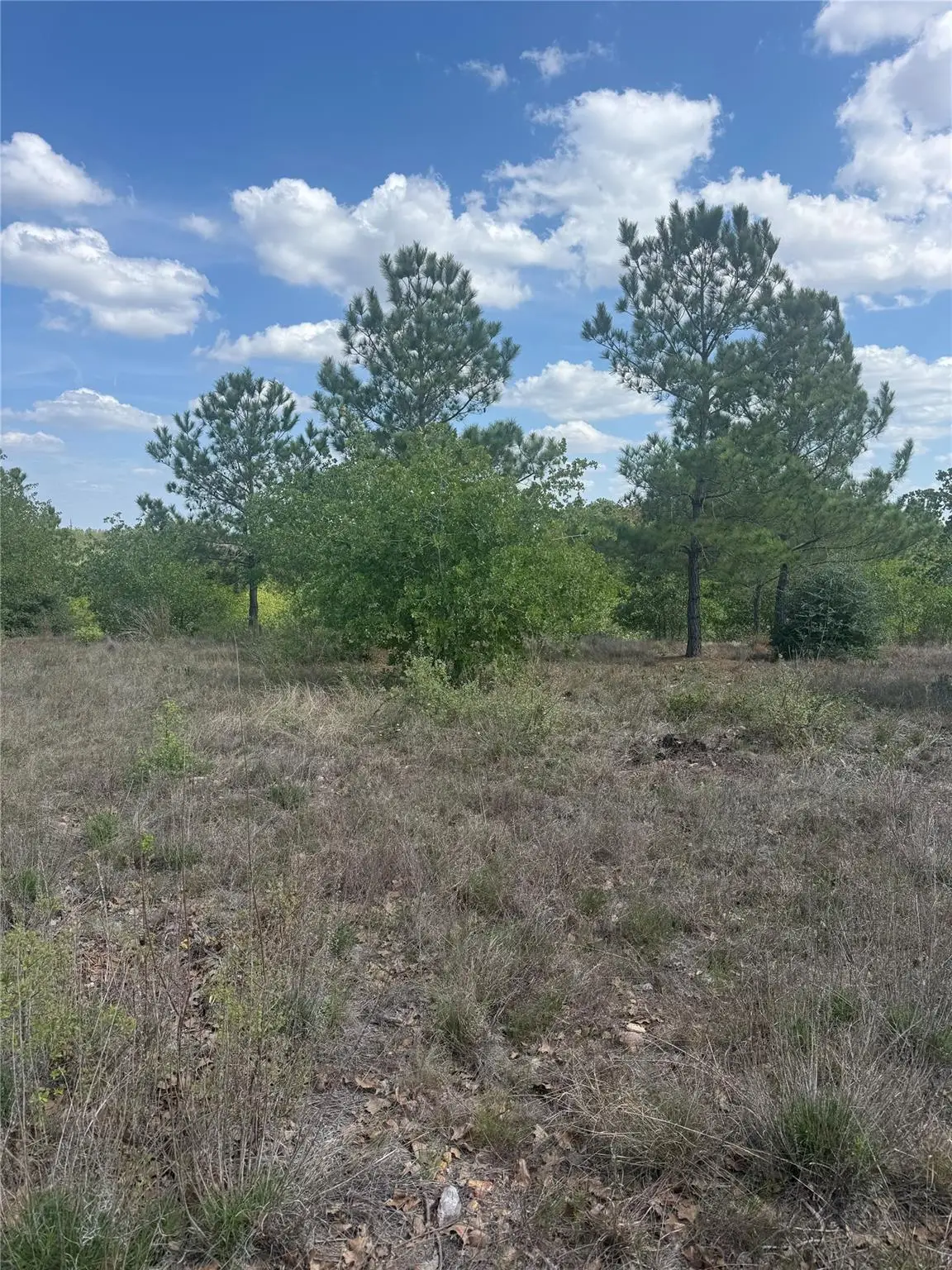 TBD Lakewood Dr, Bastrop, TX 78602 - #1