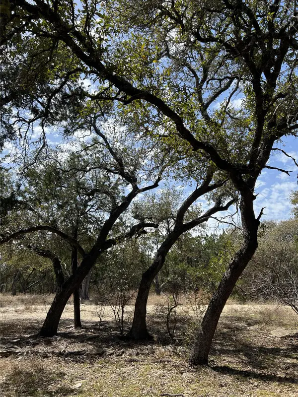 1425 Longhorn Trl Rd, Wimberley, TX 78676