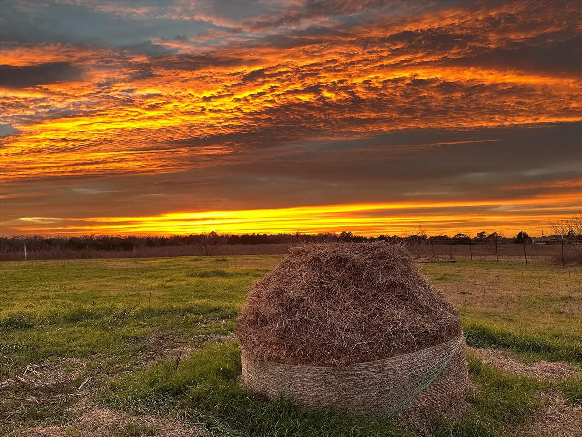 2200 Highway 21 E, Paige, TX 78659 - Image #1