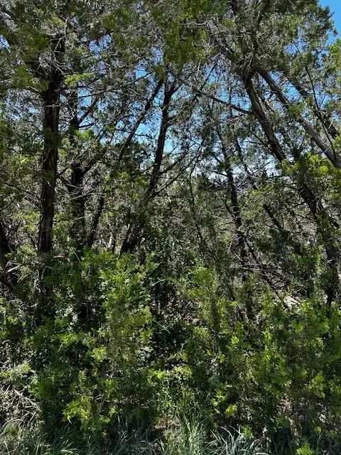 8402 Bronco Ln, Lago Vista, TX 78645 - Image #1