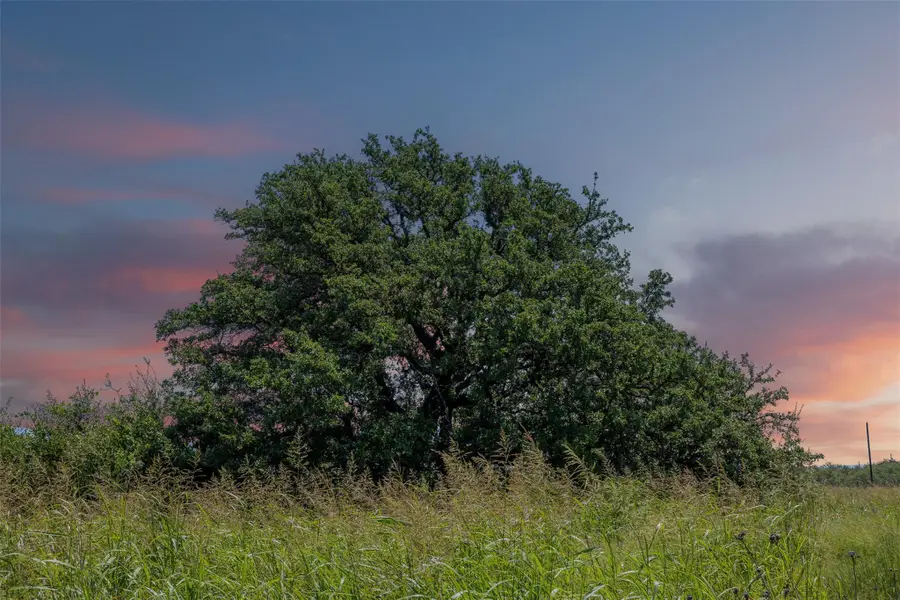 000 W. 17th St, Brady, TX 76825 - Image #2