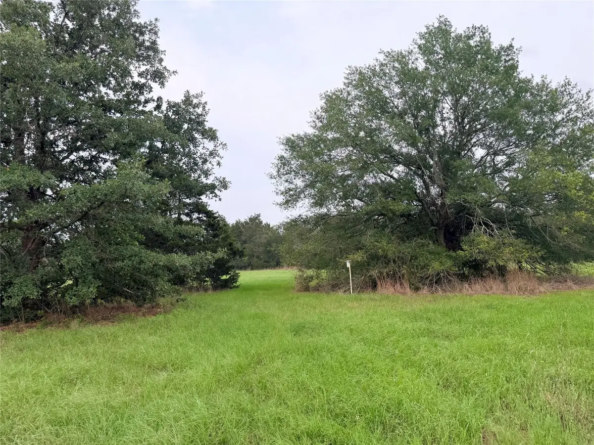 1766 Fm 2104, Paige, TX 78659 - #1