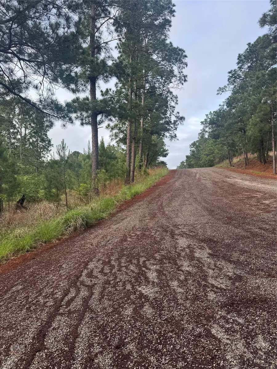 Lot 1492 Haleakala, Bastrop, TX 78602 - #2
