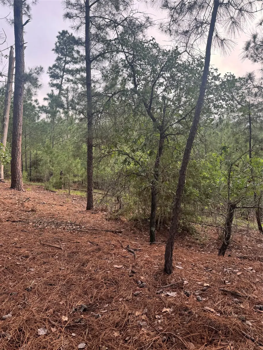 Lot 1492 Haleakala, Bastrop, TX 78602 - #3