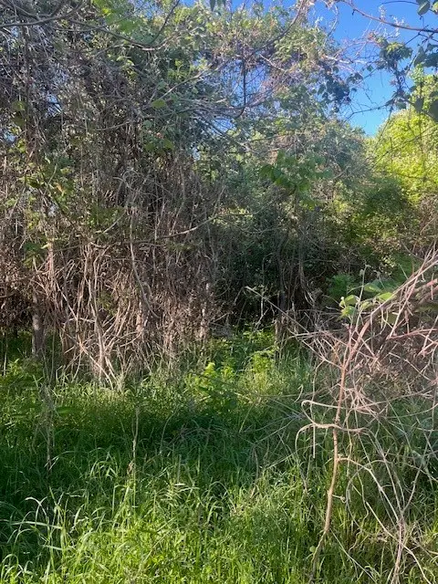 167 Kahana Ln, Bastrop, TX 78602 - Image #2