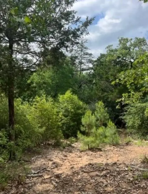 Lot 1114 Kaohikaipu Dr, Bastrop, TX 78602 - #2