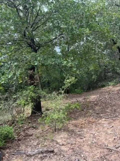 Lot 1114 Kaohikaipu Dr, Bastrop, TX 78602 - #3