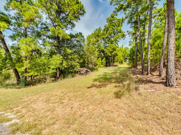 00 Makaha Dr, Bastrop, TX 78602