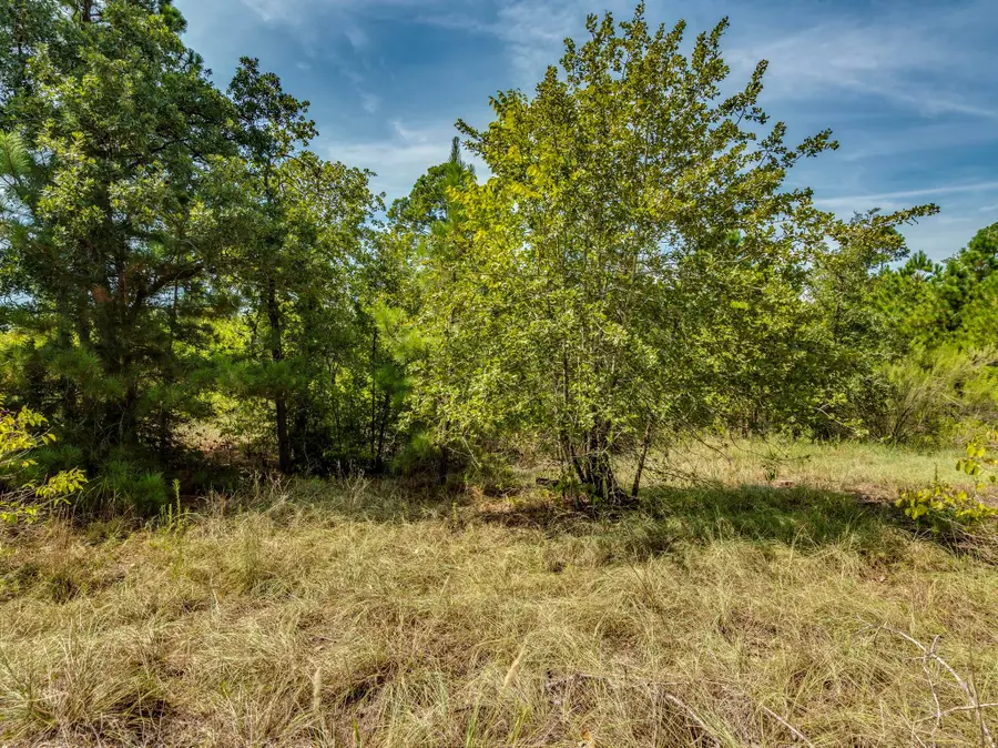 00 Makaha Dr, Bastrop, TX 78602 - Image #2