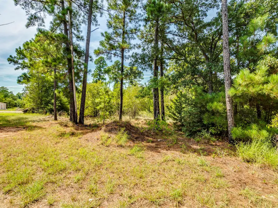 00 Makaha Dr, Bastrop, TX 78602 - Image #3