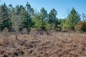 TBD Cardinal Loop Loop, Paige, TX 78659 - Image #2