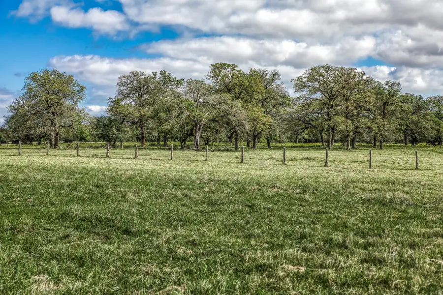 11320 County Road 343, Caldwell, TX 77836 - #2