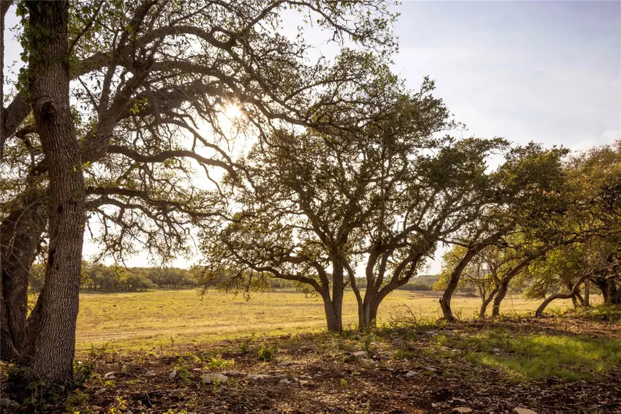 2390 Prochnow Rd, Dripping Springs, TX 78620 - #2