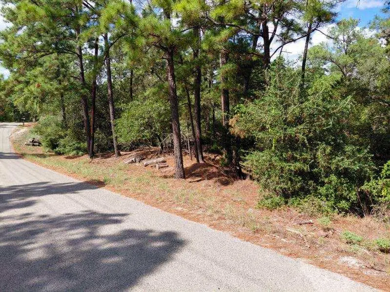 Lot 6 & 7 Wahane Ln, Bastrop, TX 78602 - #2