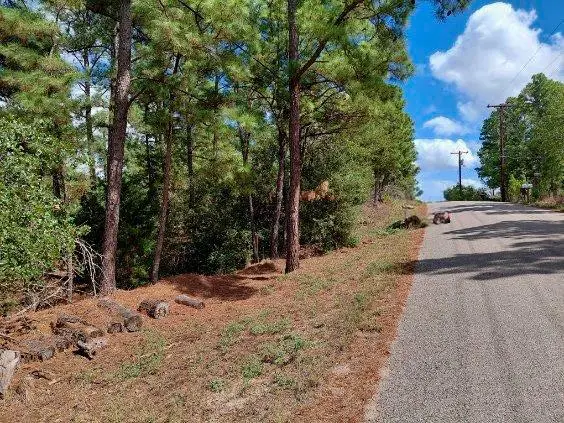 Lot 6 & 7 Wahane Ln, Bastrop, TX 78602 - #3