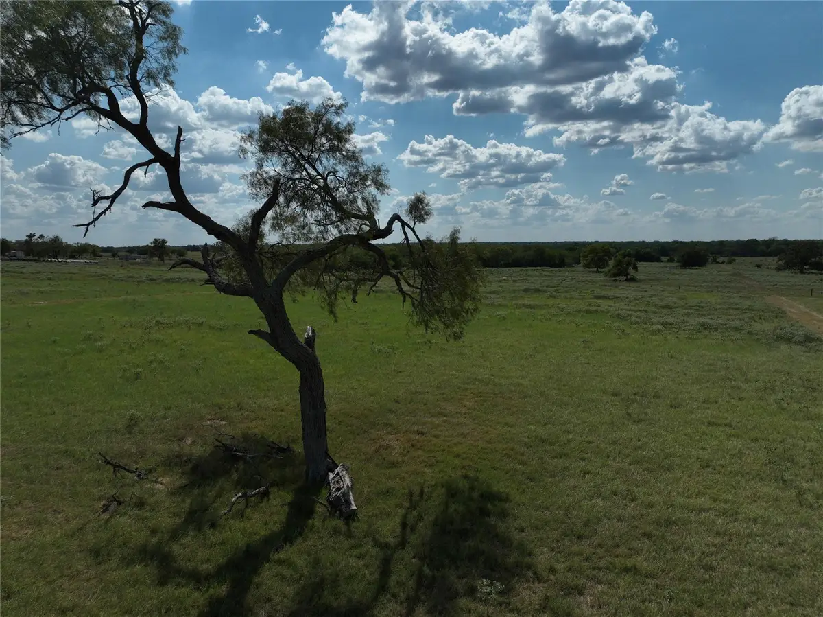 TBD Lot 7 Tenney Creek Rd, Dale, TX 78616 - #1