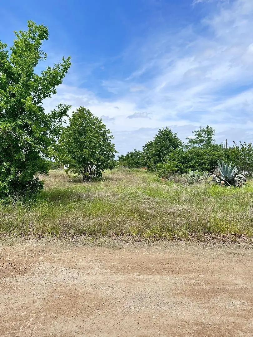 126 Wild Bird Loop, Smithville, TX 78957 - Image #2