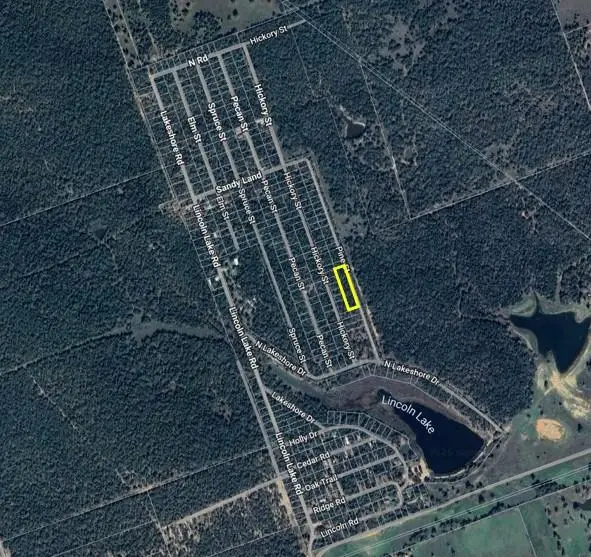 TBD Pine St, Paige, TX 78659 - Image #1