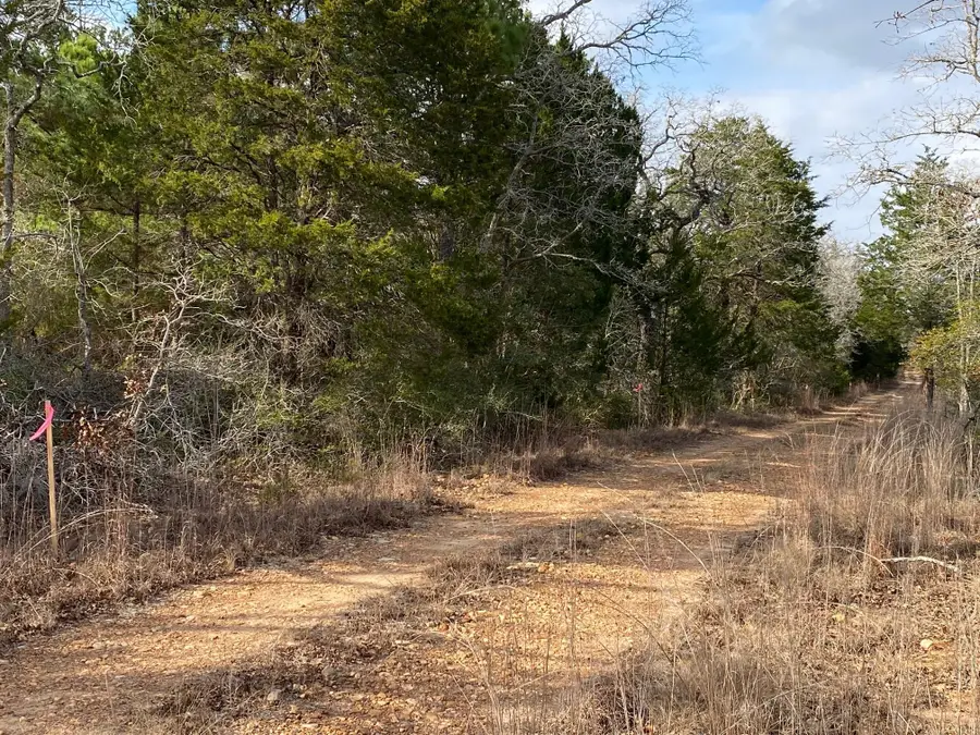 TBD Pine St, Paige, TX 78659 - Image #3