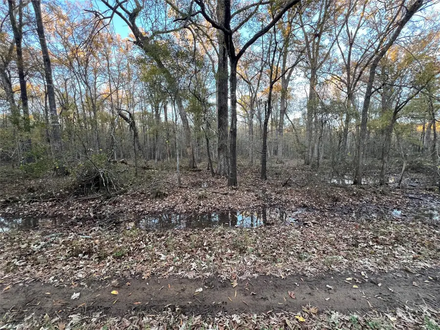 0 An County Road 354, Palestine, TX 75801 - Image #2