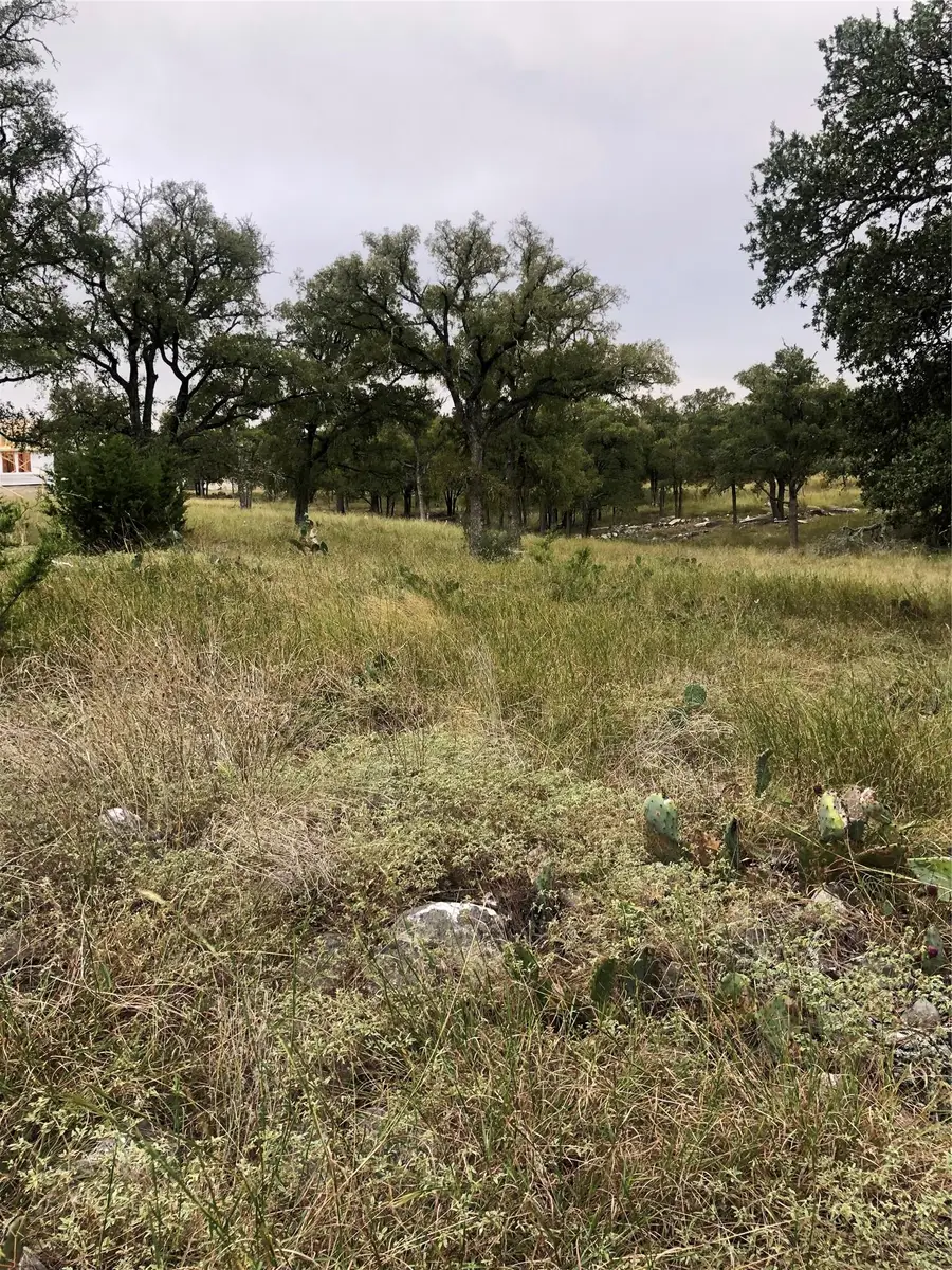 99 Axis Cir, Fredericksburg, TX 78624 - #3