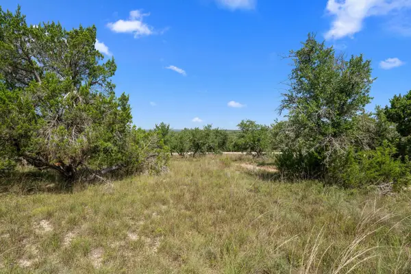 31890 Mirela Ann Rd, Dripping Springs, TX 78620