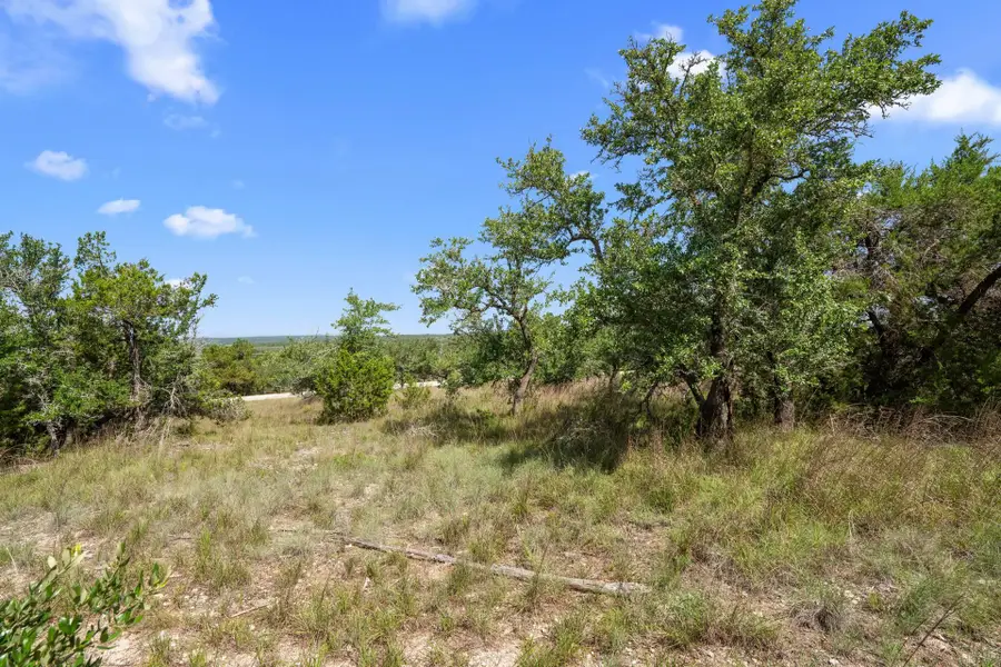 31890 Mirela Ann Rd, Dripping Springs, TX 78620 - Image #2