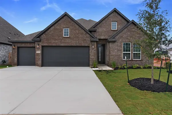 17305 Lisa Samuels Dr, Pflugerville, TX 78660