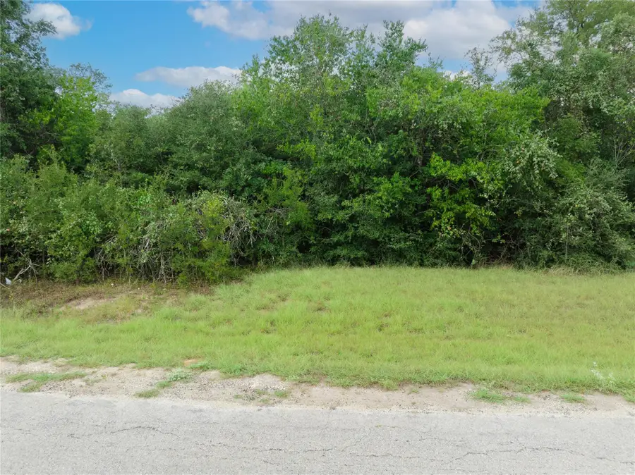 308 The Oaks Blvd, Elgin, TX 78621 - Image #2